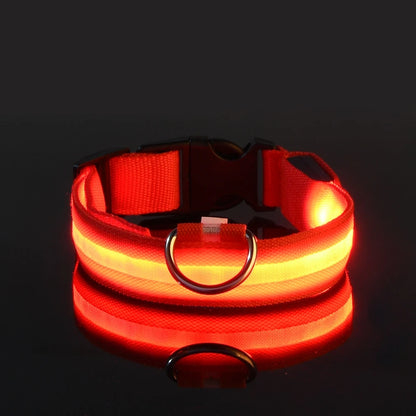 🐶🐱 LED Hundehalsband & Leine – Leuchtend, Verstellbar & Sicher für Hunde & Katzen bei Nacht