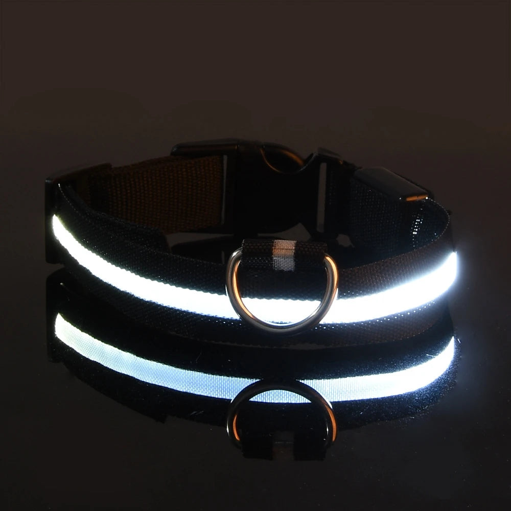 🐶🐱 LED Hundehalsband & Leine – Leuchtend, Verstellbar & Sicher für Hunde & Katzen bei Nacht