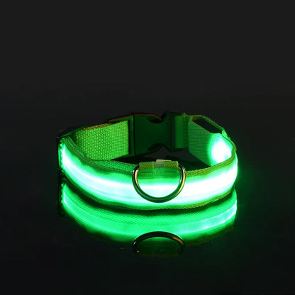 🐶🐱 LED Hundehalsband & Leine – Leuchtend, Verstellbar & Sicher für Hunde & Katzen bei Nacht