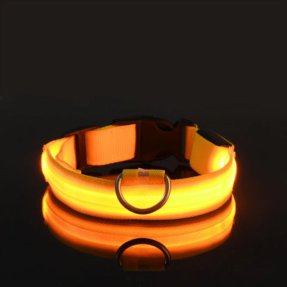 🐶🐱 LED Hundehalsband & Leine – Leuchtend, Verstellbar & Sicher für Hunde & Katzen bei Nacht