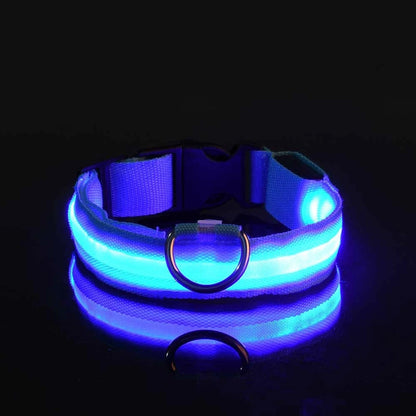 🐶🐱 LED Hundehalsband & Leine – Leuchtend, Verstellbar & Sicher für Hunde & Katzen bei Nacht