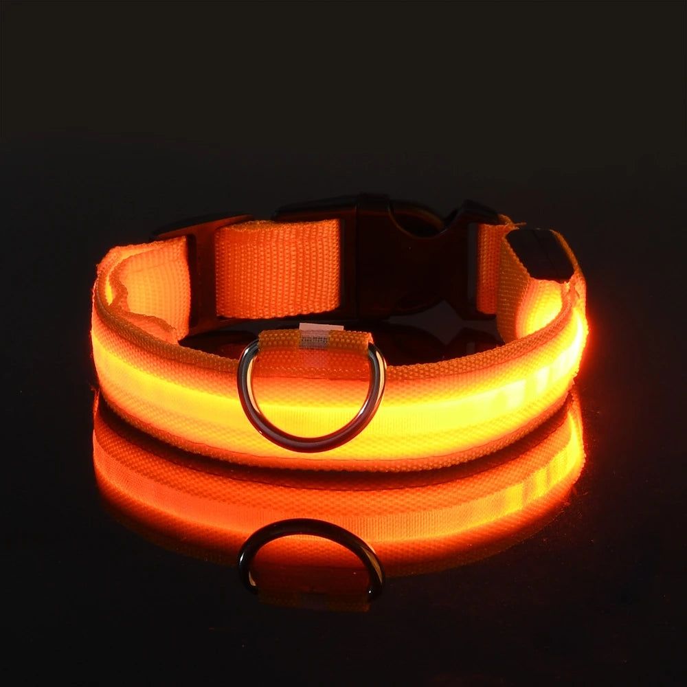 🐶🐱 LED Hundehalsband & Leine – Leuchtend, Verstellbar & Sicher für Hunde & Katzen bei Nacht