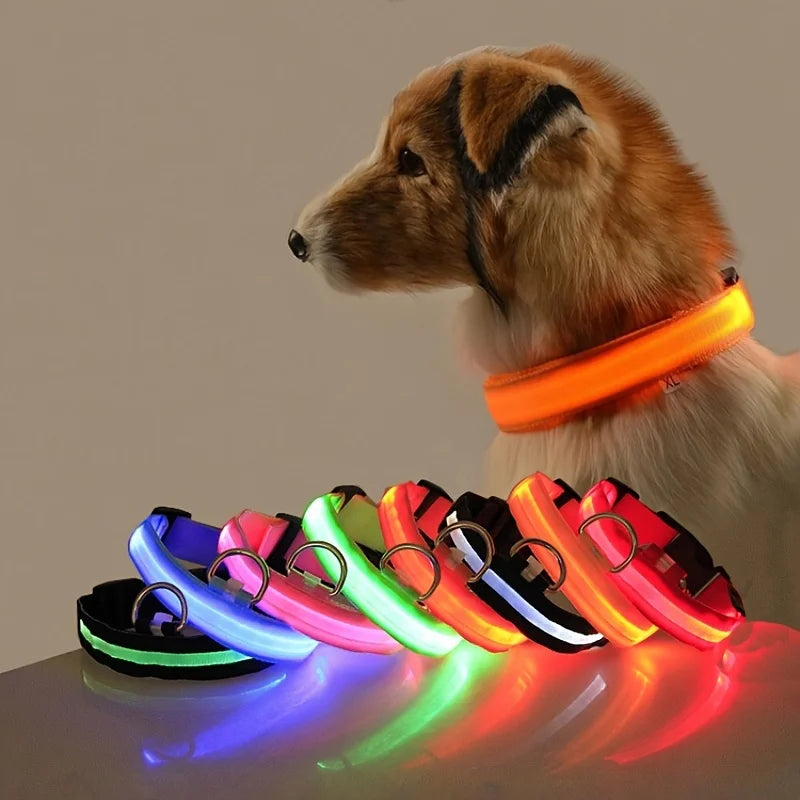 🐶🐱 LED Hundehalsband & Leine – Leuchtend, Verstellbar & Sicher für Hunde & Katzen bei Nacht