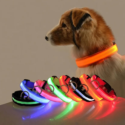 🐶🐱 LED Hundehalsband & Leine – Leuchtend, Verstellbar & Sicher für Hunde & Katzen bei Nacht