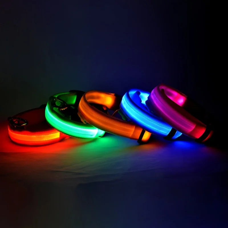 🐶🐱 LED Hundehalsband & Leine – Leuchtend, Verstellbar & Sicher für Hunde & Katzen bei Nacht