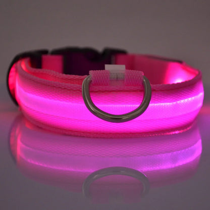 🐶🐱 LED Hundehalsband & Leine – Leuchtend, Verstellbar & Sicher für Hunde & Katzen bei Nacht