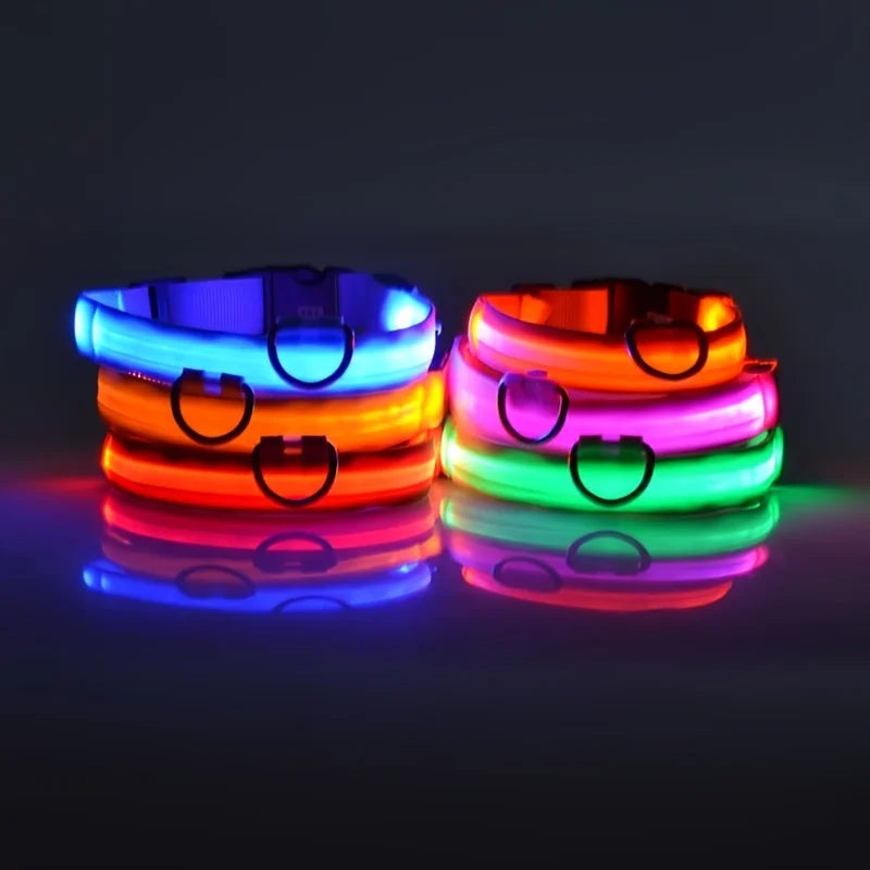 🐶🐱 LED Hundehalsband & Leine – Leuchtend, Verstellbar & Sicher für Hunde & Katzen bei Nacht