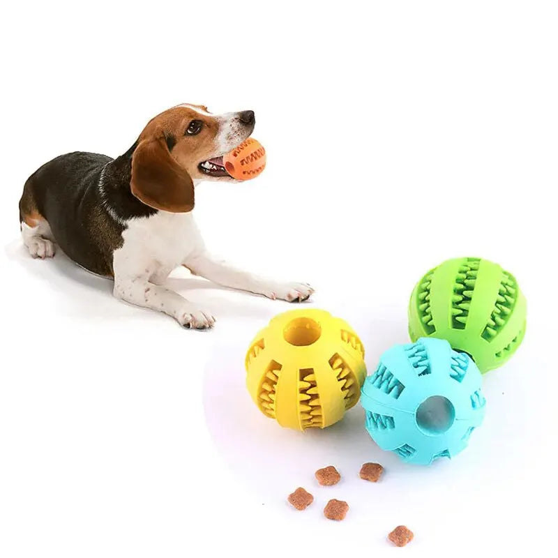 🐶🐱 Spielball aus Gummi – Bissfestes Intelligenzspielzeug mit Leckerli-Spender & Zahnpflege