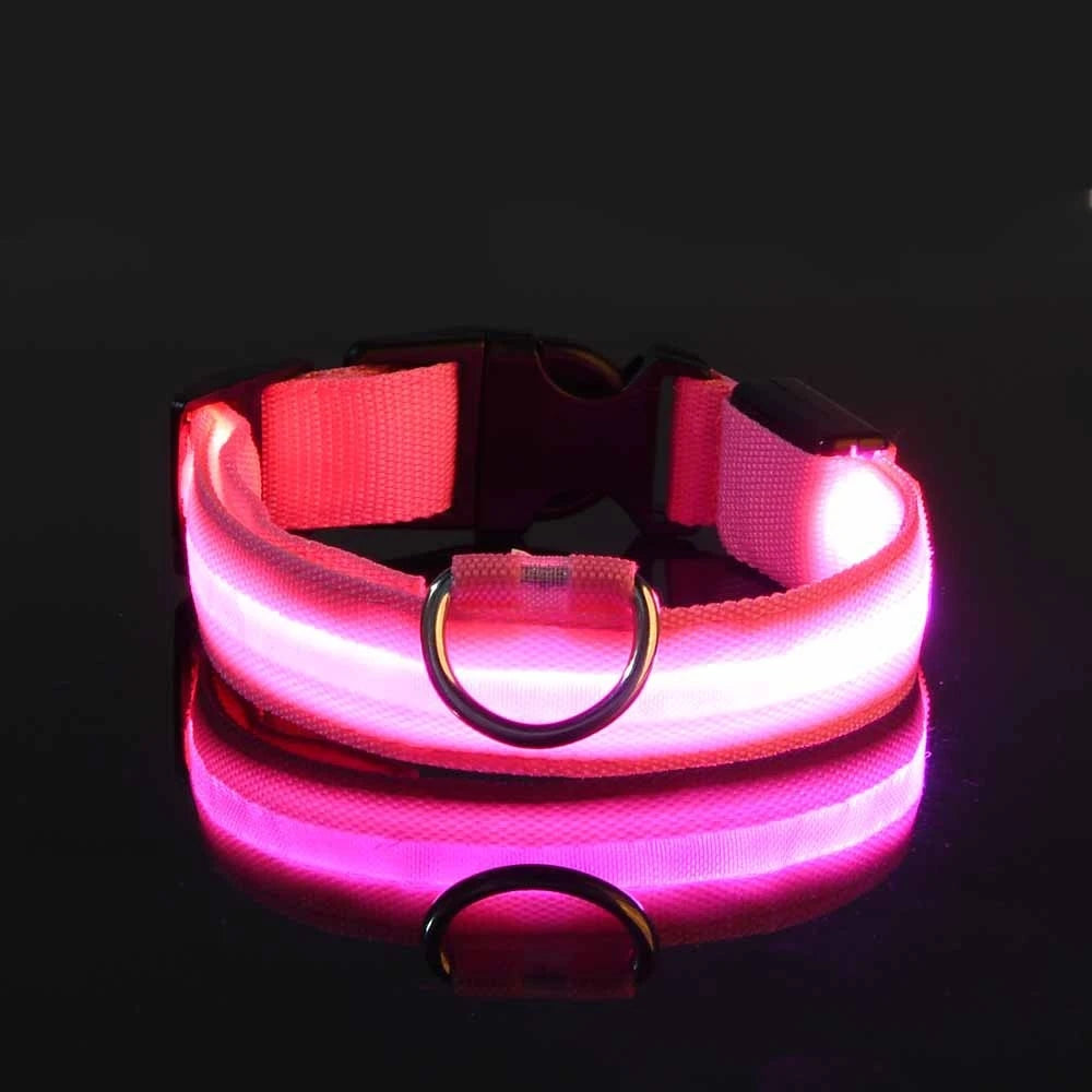 🐶🐱 LED Hundehalsband & Leine – Leuchtend, Verstellbar & Sicher für Hunde & Katzen bei Nacht