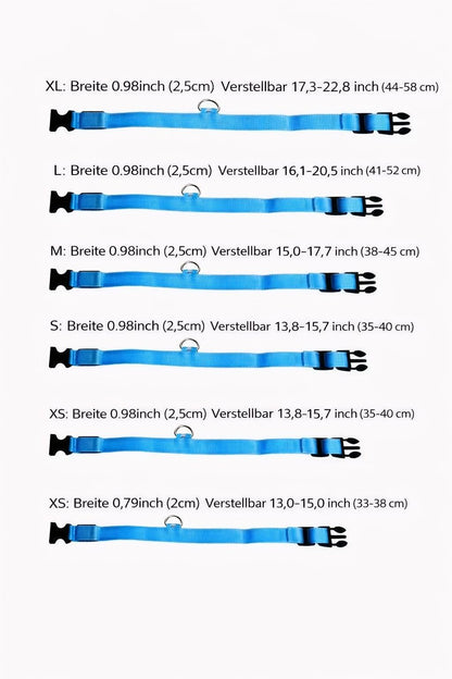 🐶🐱 LED Hundehalsband & Leine – Leuchtend, Verstellbar & Sicher für Hunde & Katzen bei Nacht
