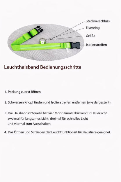 🐶🐱 LED Hundehalsband & Leine – Leuchtend, Verstellbar & Sicher für Hunde & Katzen bei Nacht
